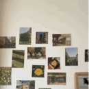 포산고등학교 앞 이미지