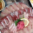 신화식당 | 제주고등어회맛집 부두식당 모슬포항고등어회 제대로 즐긴 후기 신화월드근처맛집 추천