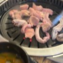 꺄호 | 시우 - 시작.