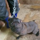 공단로-2 이미지