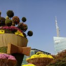 일산 호수공원 가을 꽃 축제 이미지