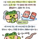 욜로 - 당진시 | 욜로