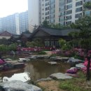 중동호떡 이미지