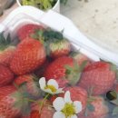 늘해랑농장 이미지