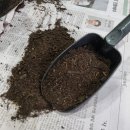 삼광농장 이미지