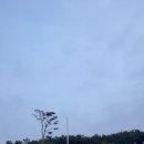 루비밤