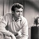 큰에덴농장 이미지