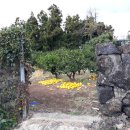 신흥1리 사무소 이미지