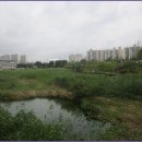 올레길 도심형 1코스 이미지