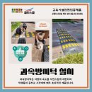 클린스쿨대구