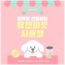 한펫 | 고양 랙돌 분양 후기｜유앤미펫에서 만난 순둥한 인형 같은 가족