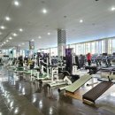 라인 헬스 이미지