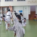 적성태권도장 이미지