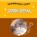 아이맘동물의료센터 이미지