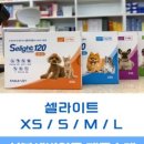 온심약국 이미지