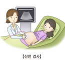 아두골반 불균형[Cephalopelvic disproportion여성질환] 이미지