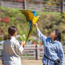 신통목장 이미지