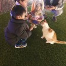 하이펜션 이미지