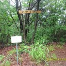 충도4리 이미지