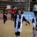 청양공설운동장 이미지