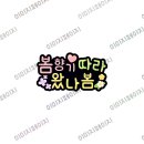 봄가게
