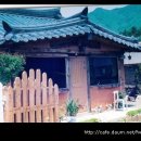 선살풀이춤 Daum카페