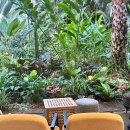 수피아 | 사계절 내내 푸릇함을 즐길 수 있는 부천 식물원 카페 후기 : 수피아