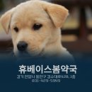 휴베이스 사랑약국 이미지