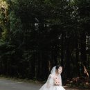 이네프 | 이네프 Ineff: 세련되고 미감 높은 부산 제주 웨딩 스냅