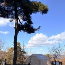 죽양대로2071번길 | 입문용 4인 텐트 추천 어웨이 에어텐트 겨울캠핑 후기