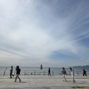 동백섬마리나 | 닮은 듯 다른 두 도시: 두바이 마리나 거주 15년차 가족의 부산 해운대 엘시티 숙박 후기