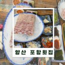 포항물회 | 양산 북정동 일정 중 들린 포항물회 횟집 후기, 모듬회와 물회 포함 식사 경험 정리