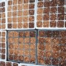 봉암농장 이미지