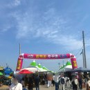 서천 마량리 동백나무 숲 | [2025]서천 동백꽃 주꾸미 축제 &amp; 마량리 동백나무숲 정보 후기 내돈내산