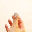 네일판다몰 범계점 이미지