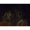 세시의철사씨