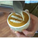 KCA커피바리스타 1급 자격취득 이미지