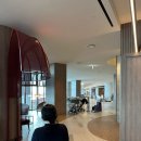 울산전복킹 | 속초여행 카시아 호텔 아기와 숙박 후기｜패밀리 클럽 프리미어 킹룸 · 체크인 팁