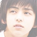 제스트(501) 이미지