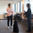 반려동물관리사자격증 이미지