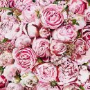 행복으로 초대 이미지