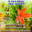 10월 8일(목) 오늘은 24절기 가운데 17번째 절기 '한로(寒露)' 이미지