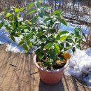 산골나들이 이미지