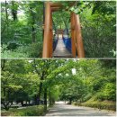 인천대공원(다목적광장) 이미지