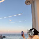 해안로1 | 강원도 묵호 동해바다 해안로 카페 감성바다 오션뷰 루프탑 카페 한결 내돈내산 후기