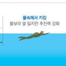 로핑 네이버블로그