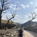 신사운전길 이미지