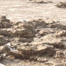 바다어시장 이미지