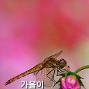 중국과 일본은 한국에 어떤 나라인가..? 이미지