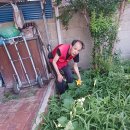 광명이용소 이미지